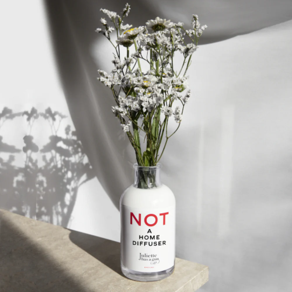 Not a home diffuser - Image 3